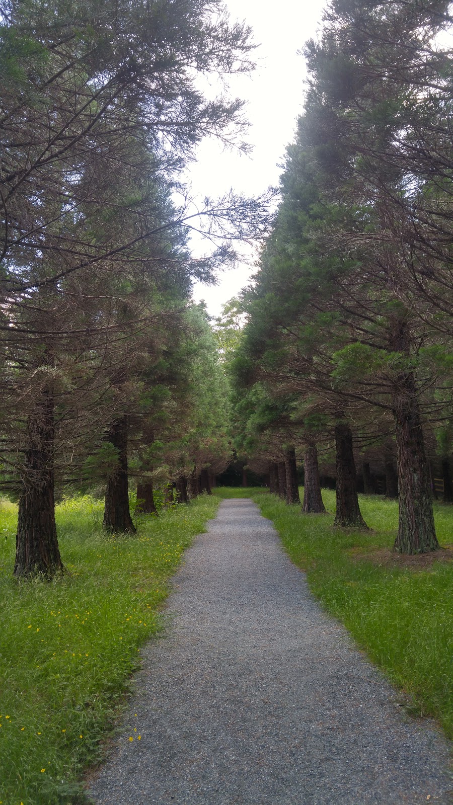 Godwin Farm Biodiversity Preserve | 9016 164 St, Surrey, BC V4N 2Z8, Canada | Phone: (604) 501-5050