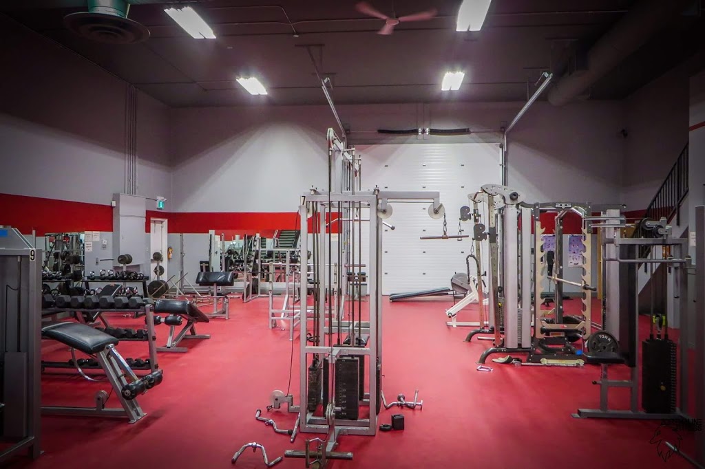 Adrenaline Fitness Inc. | 2 Dolomite Ave, Stonewall, MB R0C 2Z0, Canada | Phone: (204) 202-1783