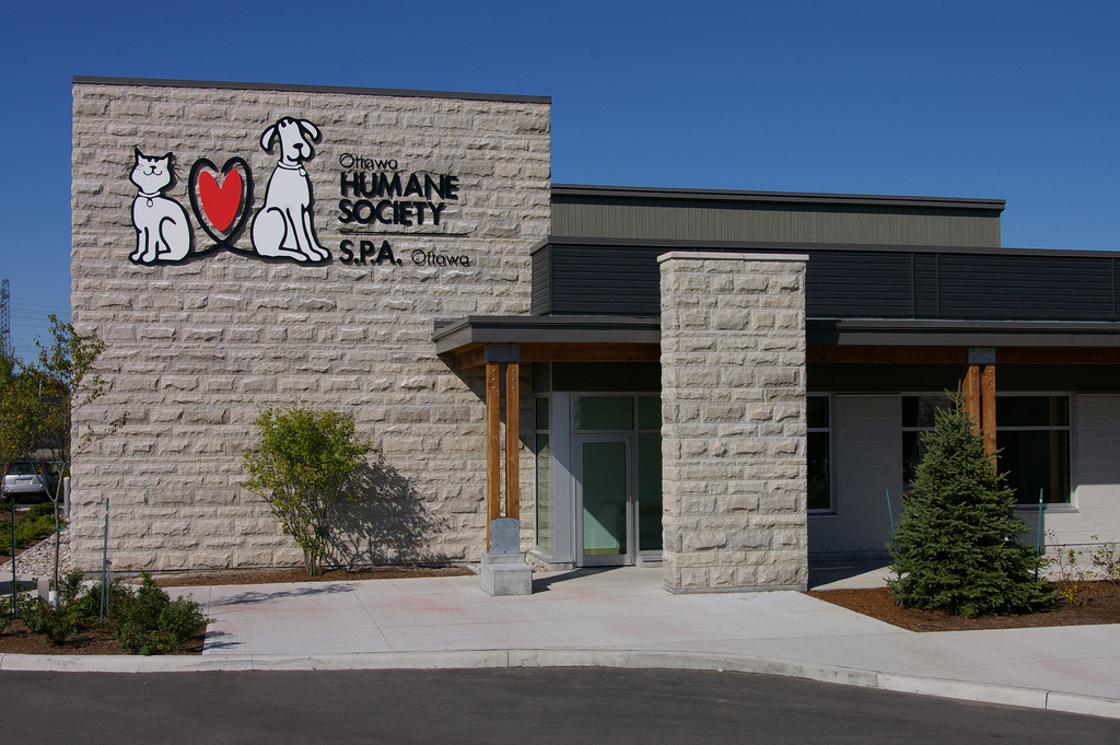 Ottawa Humane Society | 245 W Hunt Club Rd, Nepean, ON K2E 1A6, Canada | Phone: (613) 725-3166