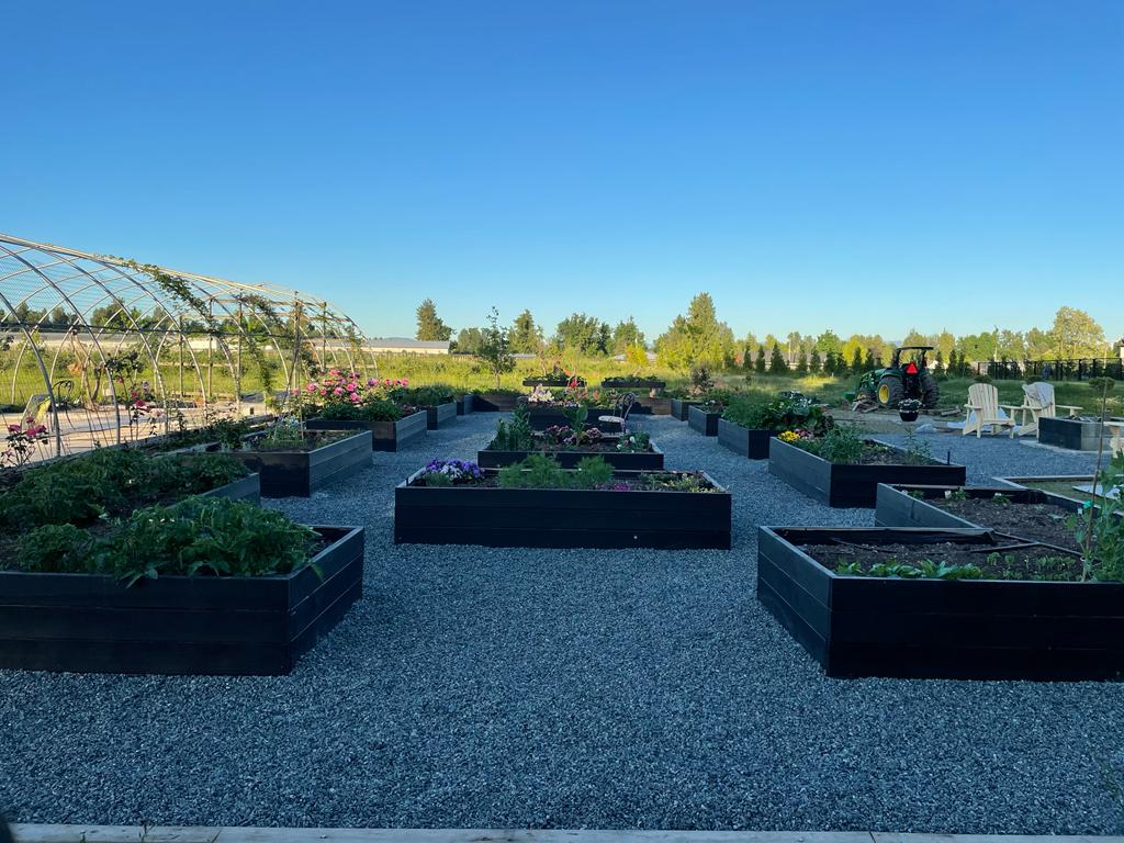 Willow Garden Farm | 29089 Haverman Rd, Abbotsford, BC V4X 2P4, Canada | Phone: (604) 309-1539