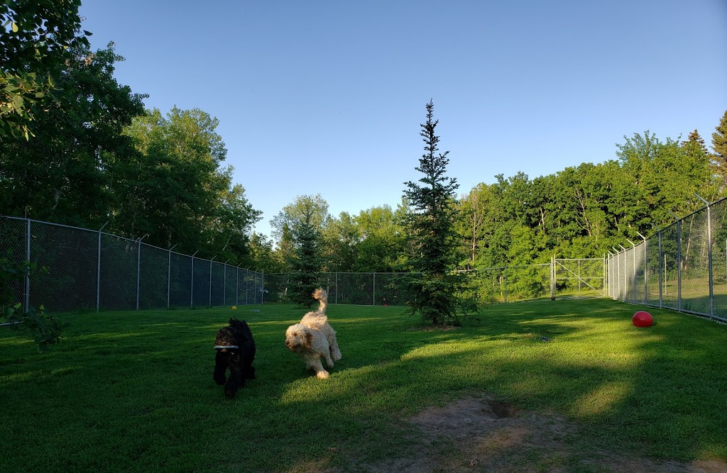 Hatricks House Boarding Kennel | Highway 302 east, Prince Albert, SK S6V 8A4, Canada | Phone: (306) 980-5140