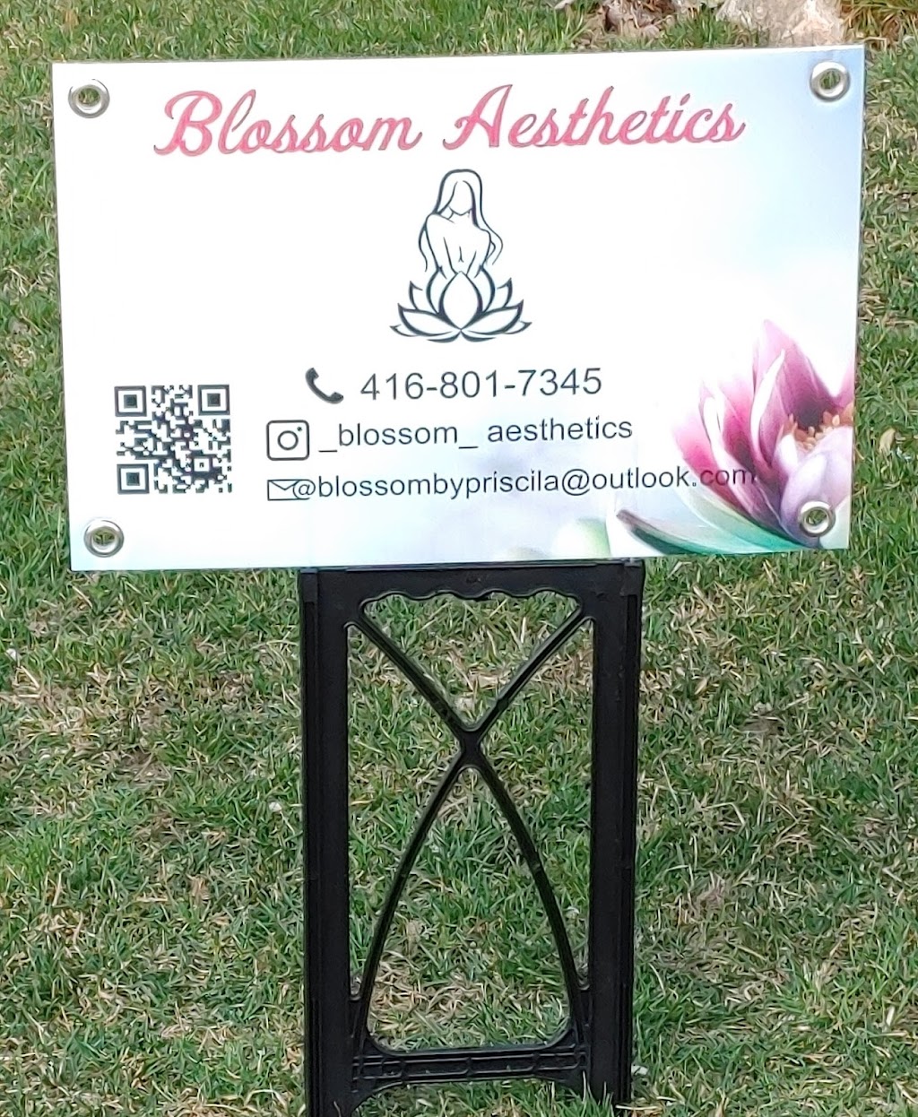 Blossom Aesthetics | 1 Hoard Ave S, New Tecumseth, ON L9R 0M4, Canada | Phone: (416) 801-7345