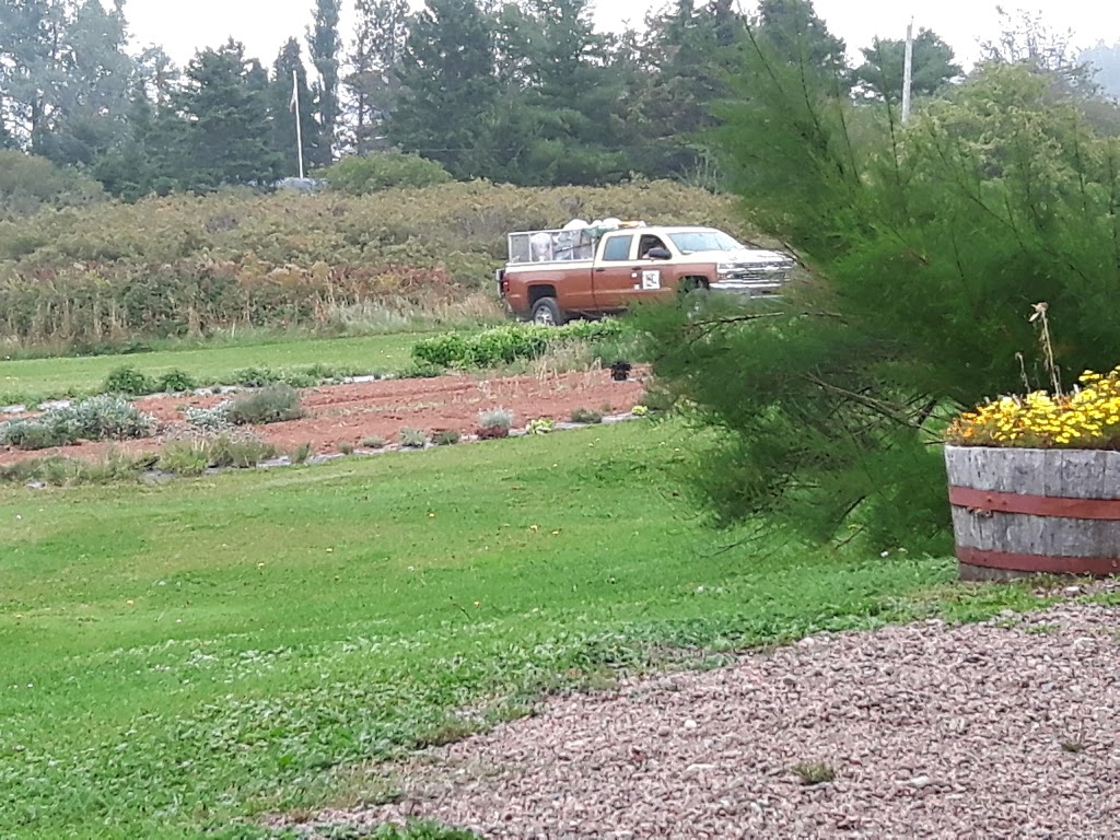 Amherst Shore Provincial Camp Ground | NS-366, Amherst, NS B0L 1E0, Canada | Phone: (902) 661-6002