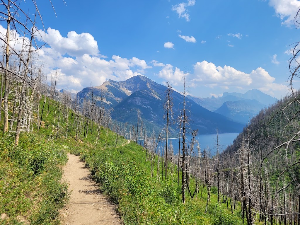 Cameron Lake day use area, Waterton Lakes National Park | national park, Waterton Park, AB T0K 2M0, Canada | Phone: (877) 737-3783