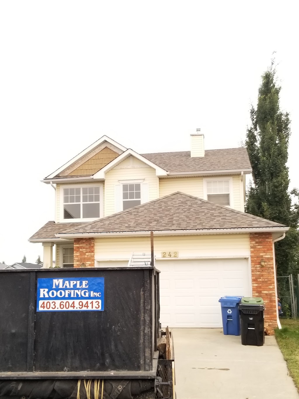 Maple Roofing Inc | 54 Everwoods Link SW, Calgary, AB T2Y 0G2, Canada | Phone: (403) 604-9413