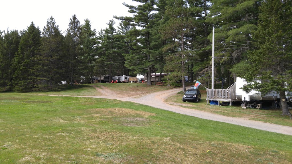 Sherwood Forest Camping Park | 6890 Nova Scotia Trunk 1, Coldbrook, NS B4R 1C5, Canada | Phone: (902) 679-6632