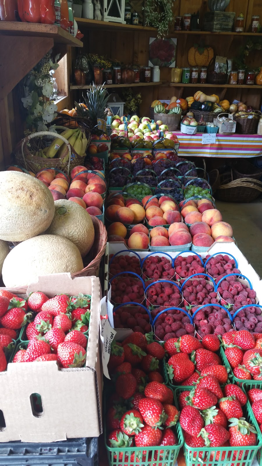 Turners Farm Market | 68 Rd, Ingersoll, ON N5C 3J5, Canada | Phone: (519) 425-0513