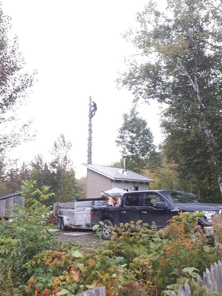 Entreprises Forestière Mercier | 5223 QC-214, Nantes, QC G0Y 1G0, Canada | Phone: (819) 214-3533
