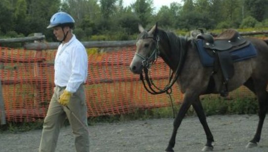 Northern Lights Equine | 680 Poonamalie Side Rd, Smiths Falls, ON K7A 4S4, Canada | Phone: (613) 284-0213