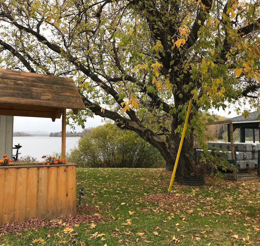 Lounan | Ch de Parent, Mont-Saint-Michel, QC J0W 1V0, Canada | Phone: (819) 623-9779