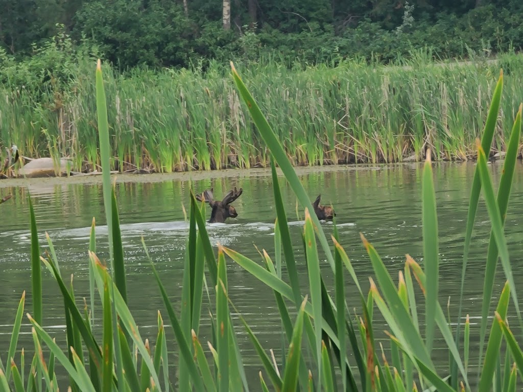 McKenzie Trails Park. | Red Deer, AB T4N 3M4, Canada | Phone: (403) 443-8721