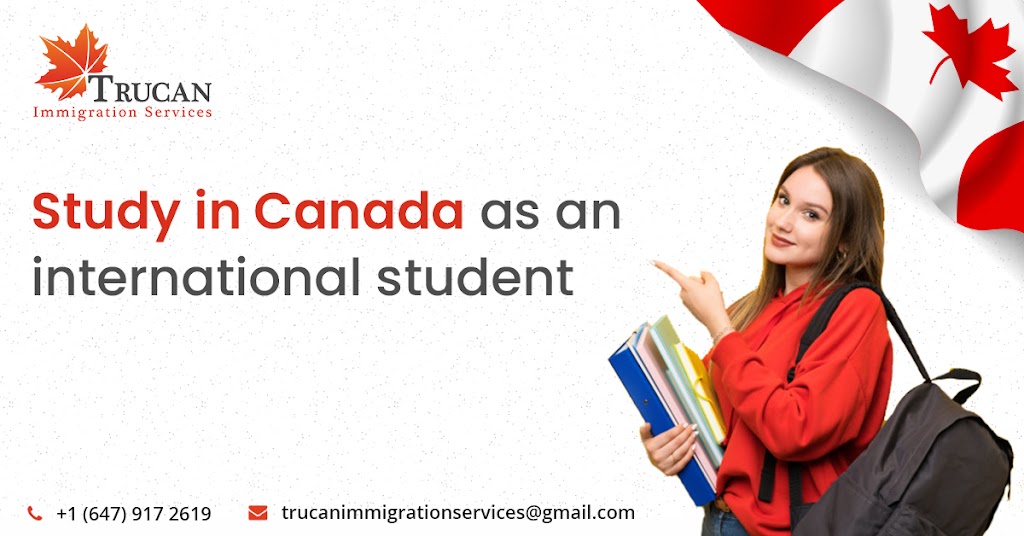 Trucan Immigration Services | 16 Rutherford Rd S Suite 203, Brampton, ON L6W 3J1, Canada | Phone: (647) 917-2619