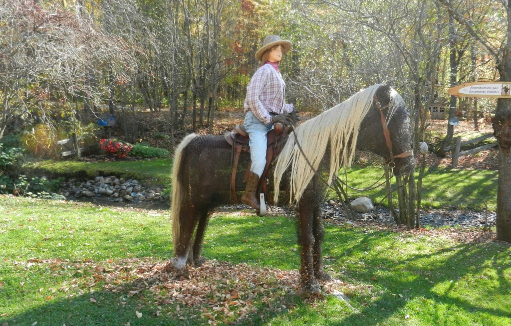 Sentier Les Pieds dOr | 1266 Rue Saint Joseph, Tingwick, QC J0A 1L0, Canada | Phone: (819) 359-2443