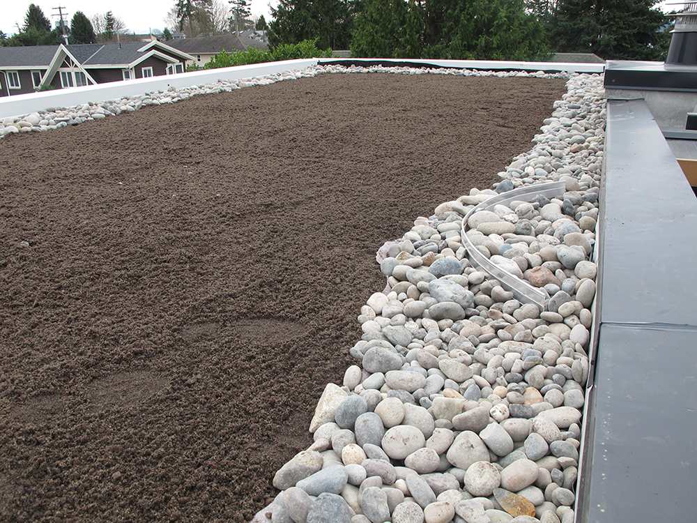 Green Elevations | 315 Seymour River Pl, North Vancouver, BC V7H 1S7, Canada | Phone: (604) 613-2699