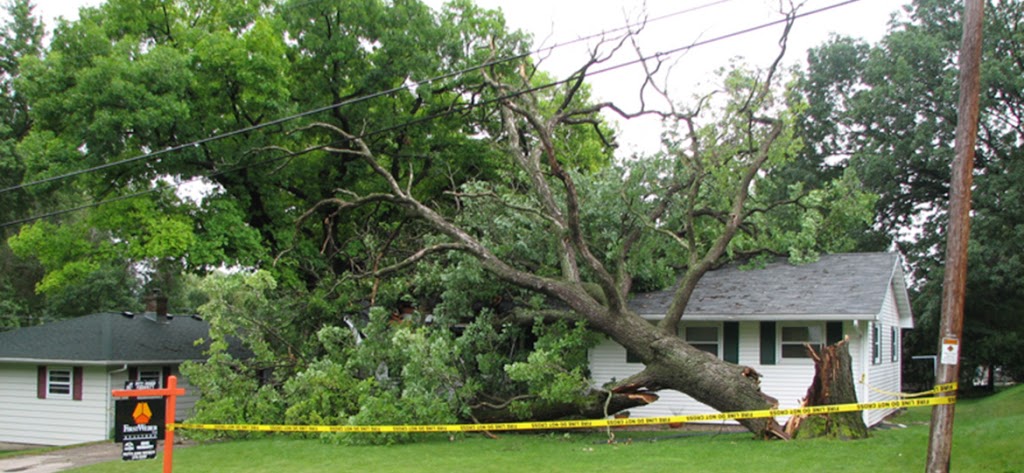 GTA Tree Removal | 119 Kirkvalley Crescent, Aurora, ON L4G 7R1, Canada | Phone: (647) 641-6881