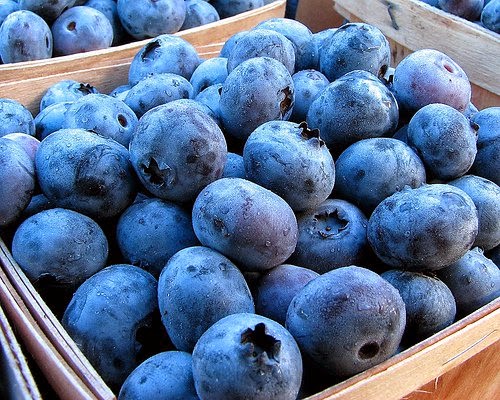 CanWest Farms Ltd. | 13051 Blundell Rd, Richmond, BC V6W 1B6, Canada | Phone: (604) 244-0488