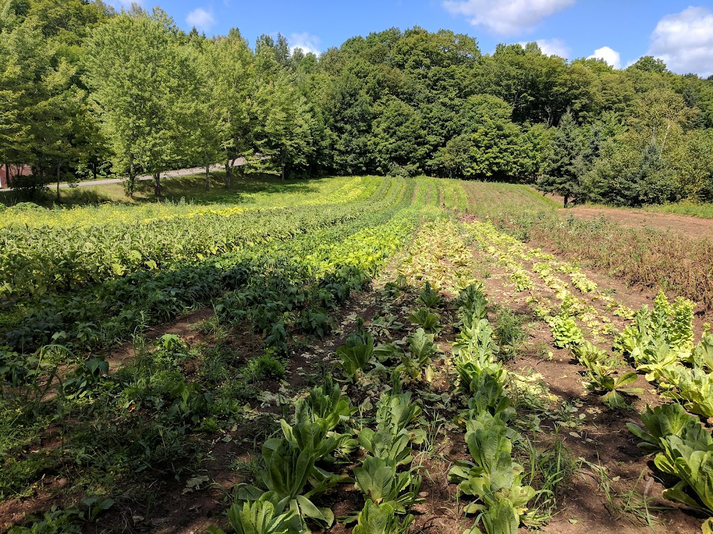 Ferme St-Achillée s.e.n.c. | 266 Rte de Saint-Achillée, Château-Richer, QC G0A 1N0, Canada | Phone: (418) 824-9687