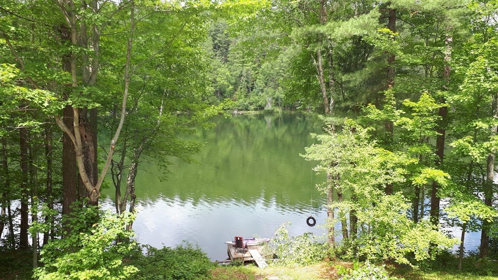 Salon lEnvolée - Andrée Dancause - Massothérapie - Orthothérapie | 59 Montée Léonard, Lac-du-Cerf, QC J0W 1S1, Canada | Phone: (819) 430-6763