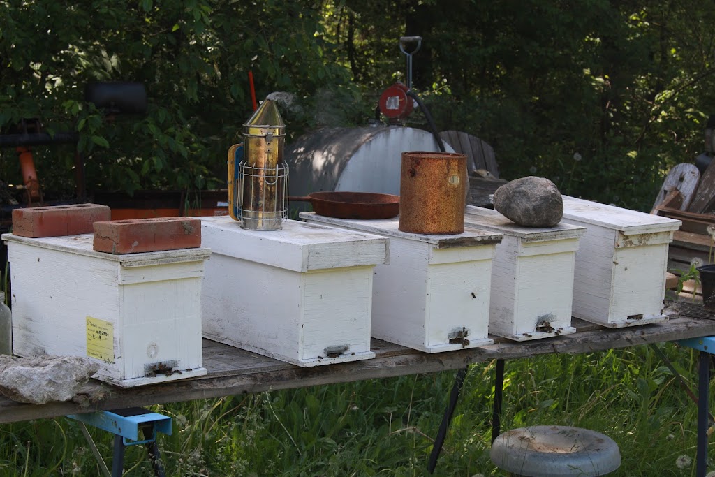 Ahmic Lake Apiaries | 4 Old Nippissing Road, South St, Magnetawan, ON P0A 1P0, Canada | Phone: (705) 380-4661