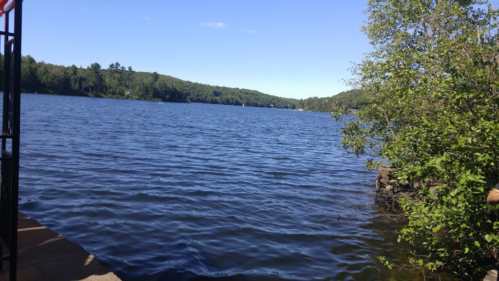 Clercs de Saint-Viateur - Camps de l’Avenir du lac Ouimet | 167 Chem. des Oliviers, Sainte-Anne-des-Lacs, QC J0R 1B0, Canada | Phone: (450) 224-4284