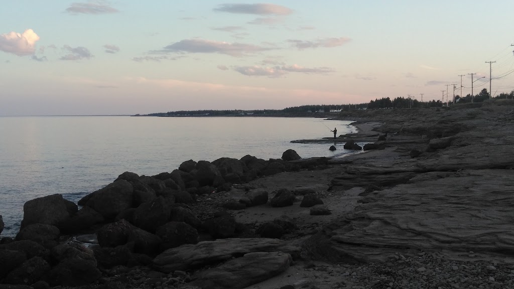 Salt Shed | 34 Cap Lumière Rd, Richibucto-Village, NB E4W 1E1, Canada | Phone: (506) 523-9941