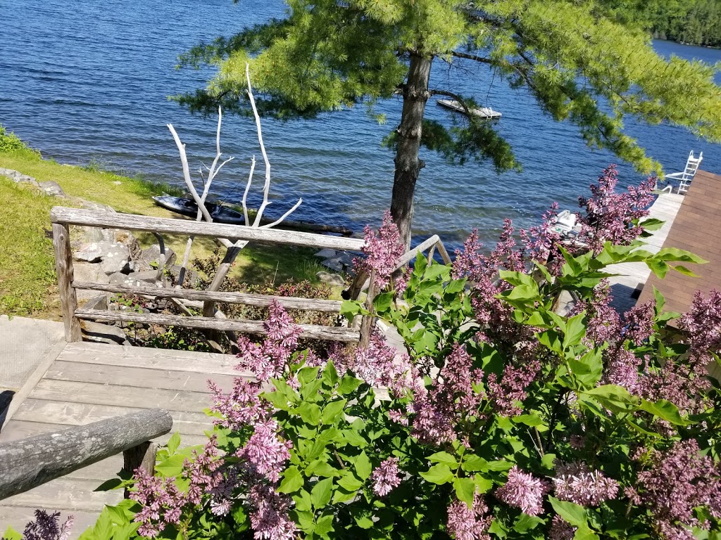 Pleasantview Lodge | 1614c Brule Lake Rd, Plevna, ON K0H 2M0, Canada | Phone: (613) 479-0350