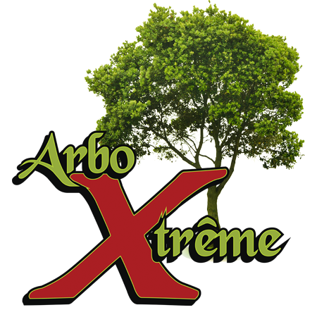 arboxtreme | 915 Rue Saint-Joseph, Saint-Amable, QC J0L 1N0, Canada | Phone: (514) 264-9872