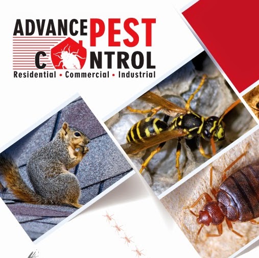 Advance Pest Control | 11795 90 Ave, Delta, BC V4C 3H5, Canada | Phone: (604) 786-4161