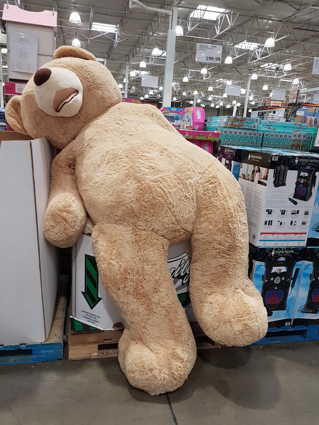 Costco Wholesale | 1225 Brant St, Burlington, ON L7P 1X7, Canada | Phone: (905) 336-6714