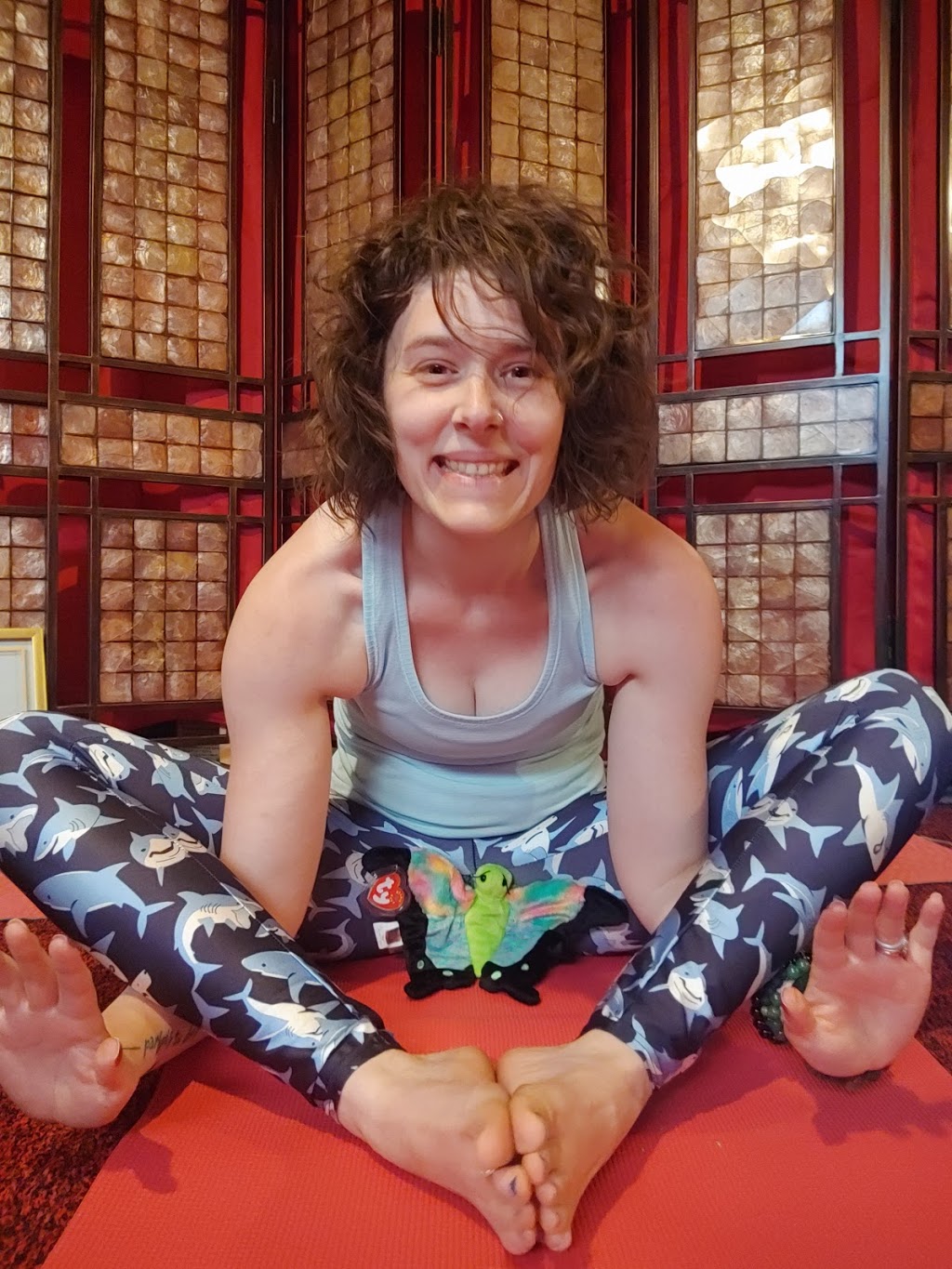 Solaire Lunaire Yoga | 85 Hewitt Circle, Spruce Grove, AB T7X 0P2, Canada | Phone: (780) 271-7711