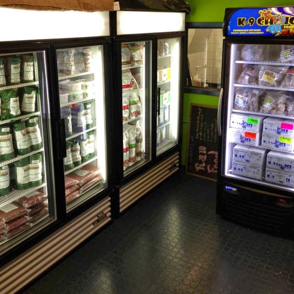 Menagerie Pet Shop | 549 Parliament St, Toronto, ON M4X 1P7, Canada | Phone: (416) 921-4966
