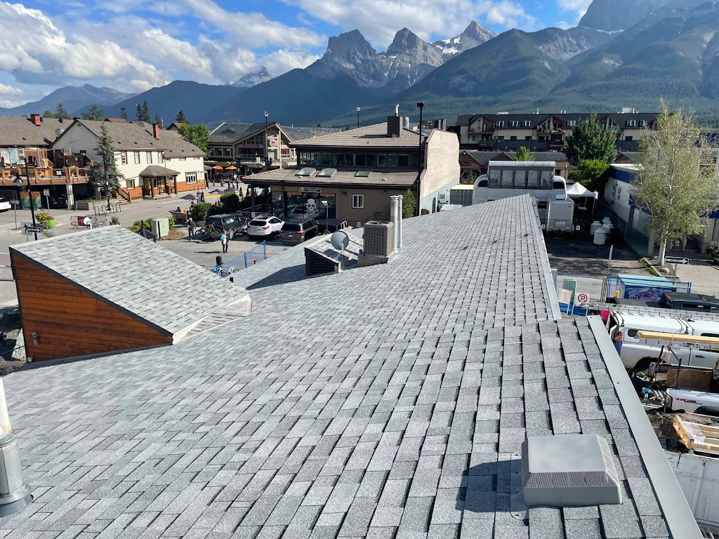 Lion Heart Roofing & Repairs Inc. | 64 Aberfoyle Pl NE, Calgary, AB T2A 6W7, Canada | Phone: (403) 369-9353