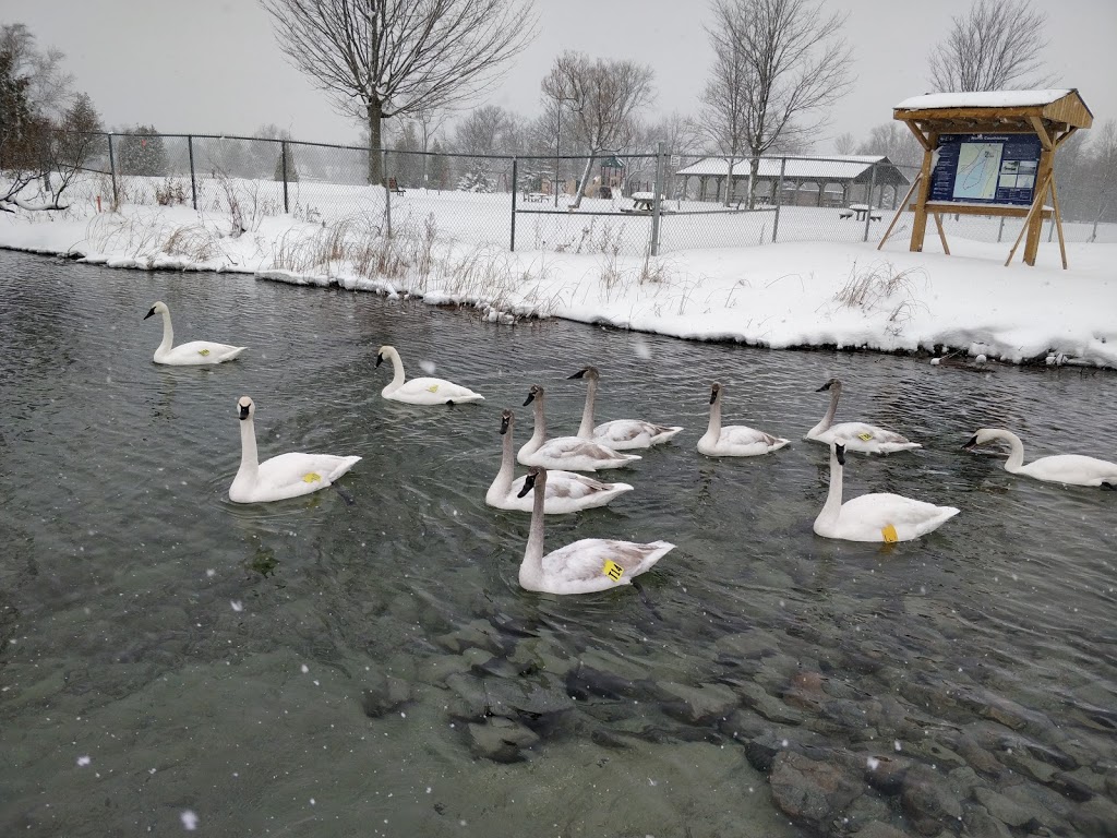 Centennial Park | 3376 Quetton St, Washago, ON L0K 2B0, Canada