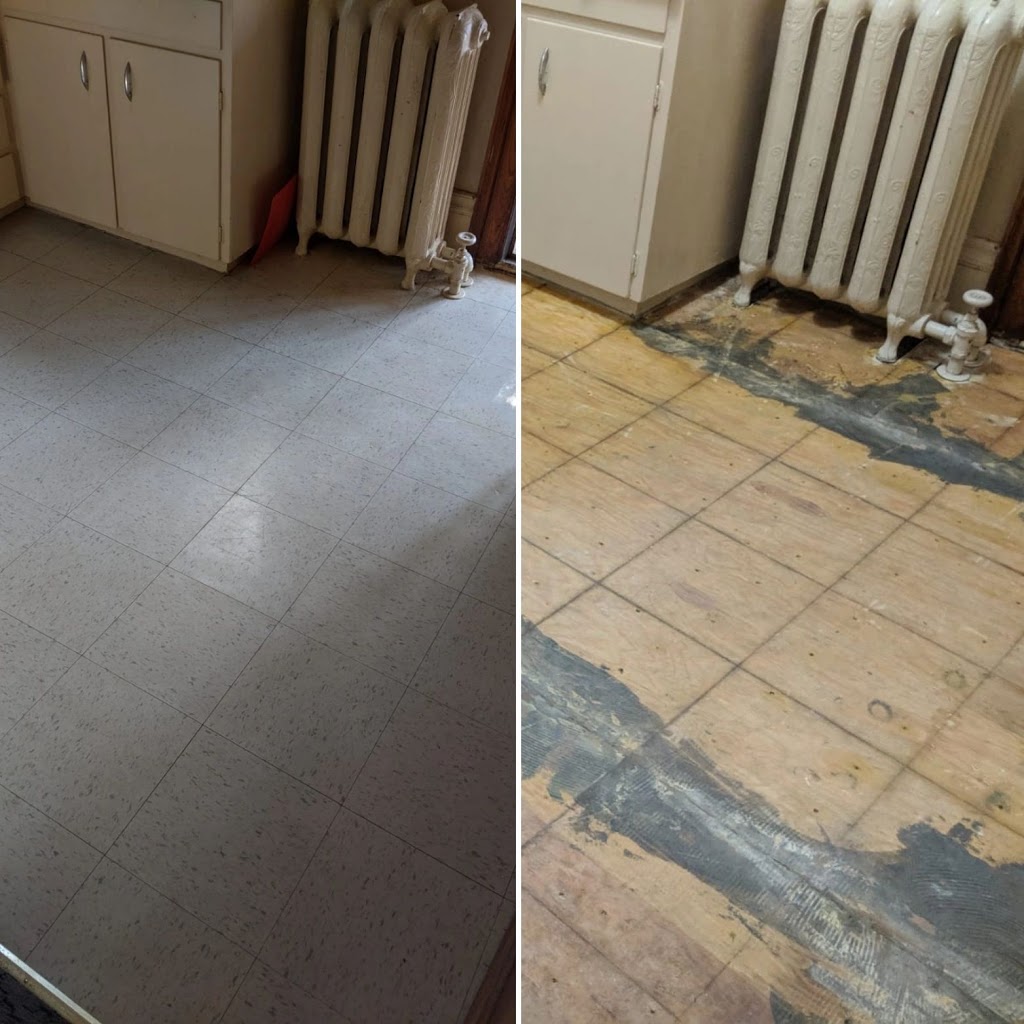 All Clear Environmental | 193 Oldfield Dr, Kitchener, ON N2A 3S9, Canada | Phone: (519) 577-0013