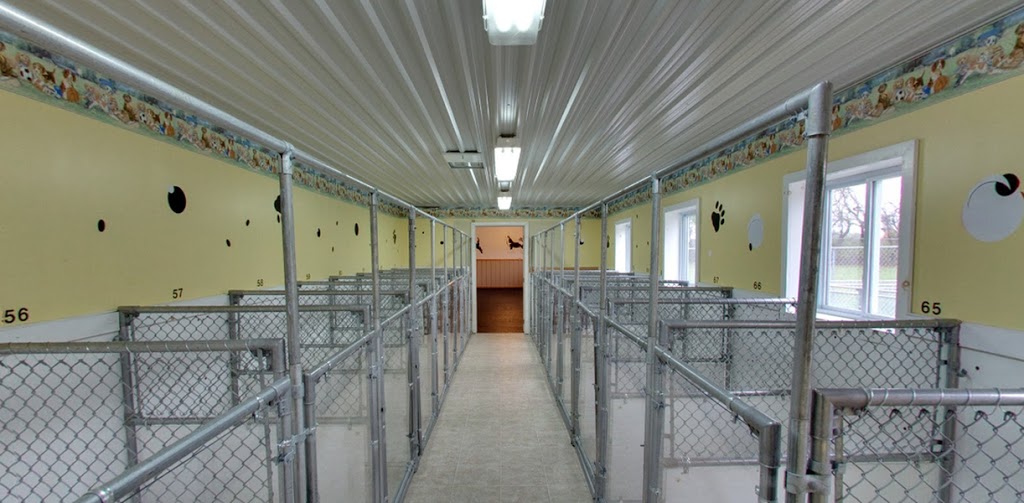 Pinetree Pet Resort | 5951 ON-6, Guelph, ON N1H 6J2, Canada | Phone: (519) 787-9934