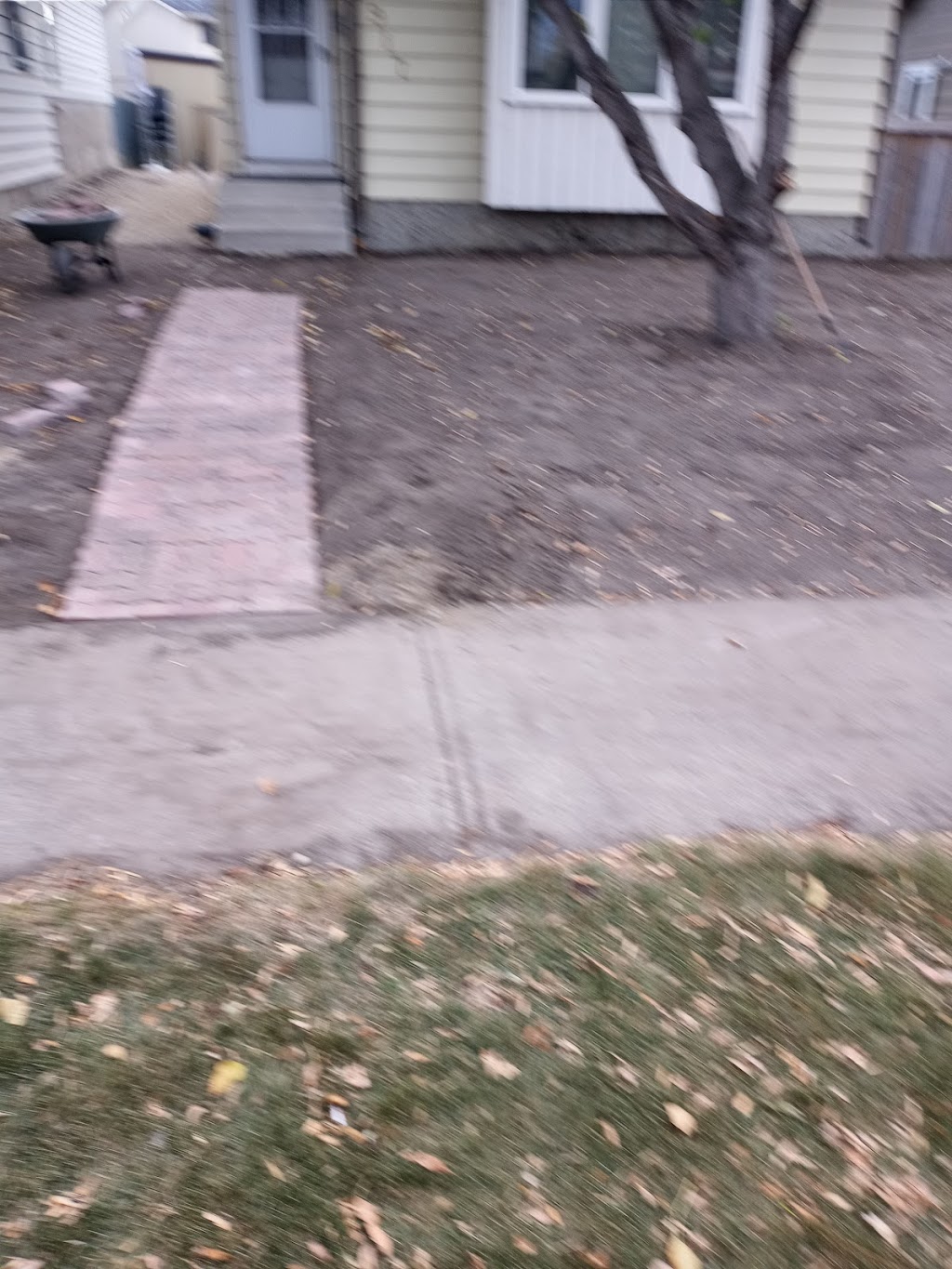 The Pest Control Guy | 917 Erin Woods Dr SE, Calgary, AB T2B 2X1, Canada | Phone: (587) 832-6009