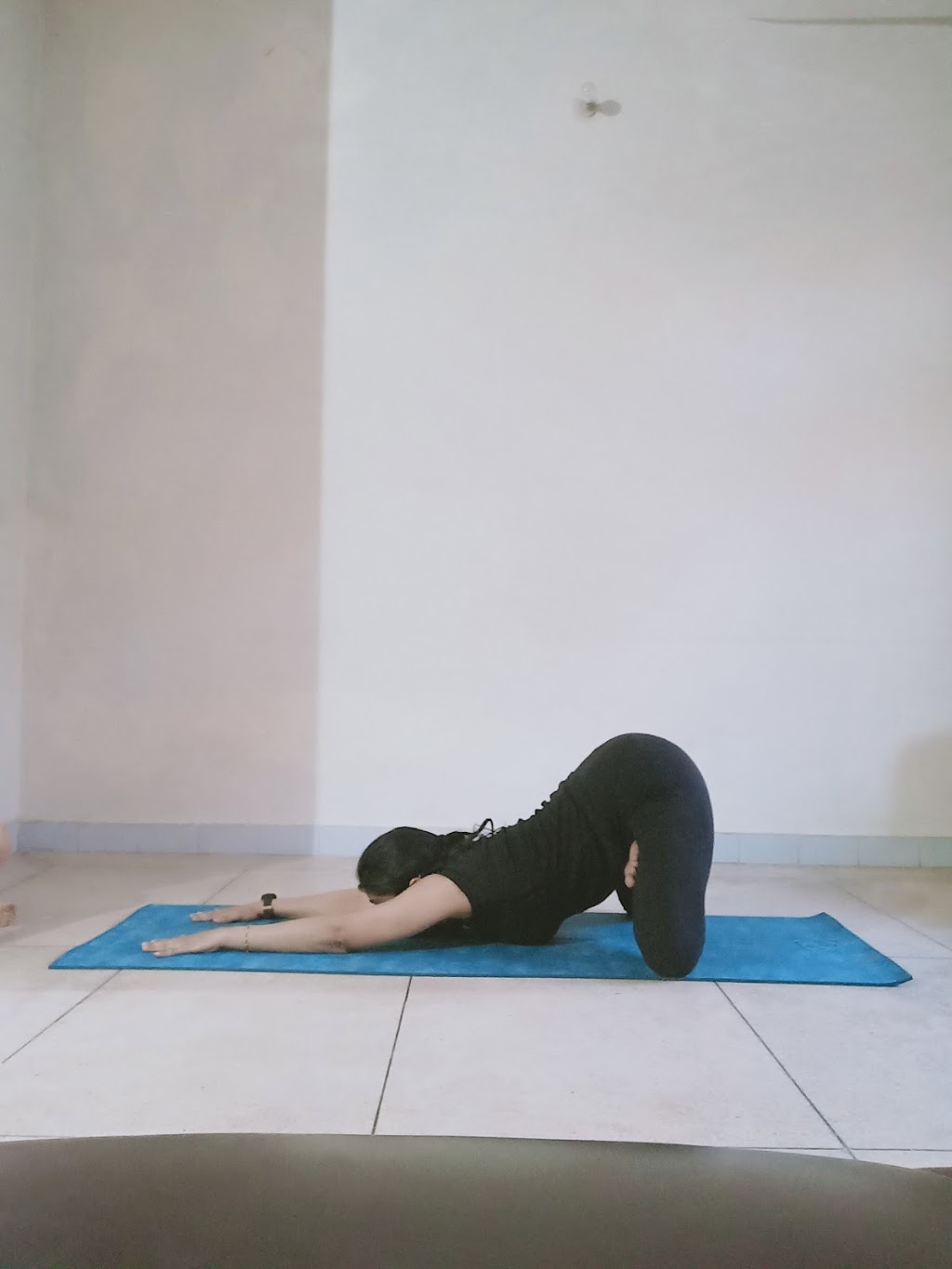 Yoga Ministry Of Canada | 2464 Clearbrook Rd, Abbotsford, BC V2T 2X8, Canada | Phone: (204) 963-3674