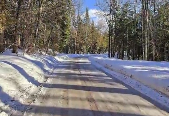 D-D Cottage | 12 Shankland Dr, Fenelon Falls, ON K0M 1N0, Canada | Phone: (647) 975-4545
