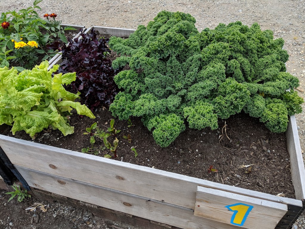 Vancouver Community Garden | 1008 W 41st Ave, Vancouver, BC V6M 1W8, Canada | Phone: (604) 873-7000