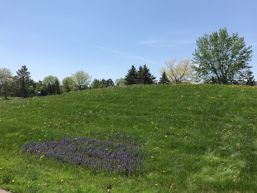 Bolingbrook park Waterloo | 470 Westvale Dr, Waterloo, ON N2T 1S9, Canada | Phone: (519) 886-2310