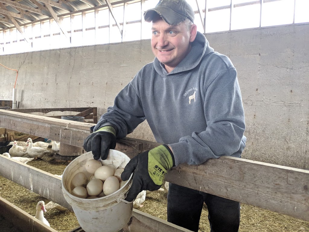 DeJong Acres | 463028 Concession Rd 24, Wiarton, ON N0H 2T0, Canada | Phone: (519) 379-7728