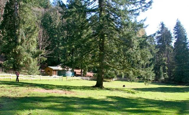 Xenia Centre - A Place To Be | 782 Smith Rd, Bowen Island, BC V0N 1G2, Canada | Phone: (604) 947-9816