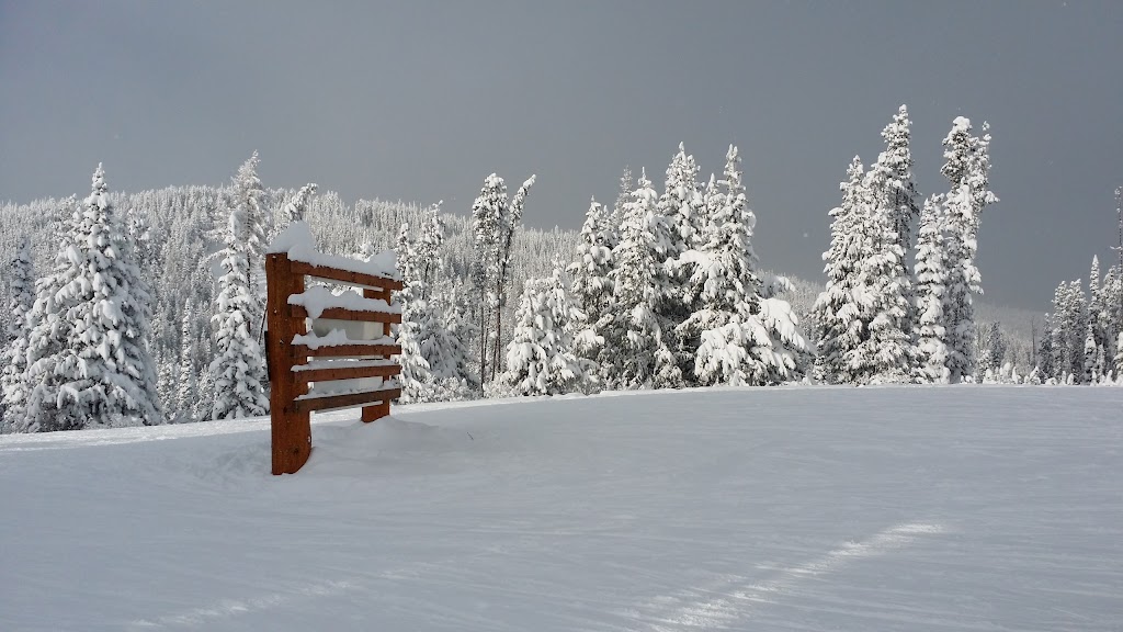 Trickle Creek Condos | 880 Dogwood Dr, Kimberley, BC V1A 3E9, Canada | Phone: (800) 525-6622