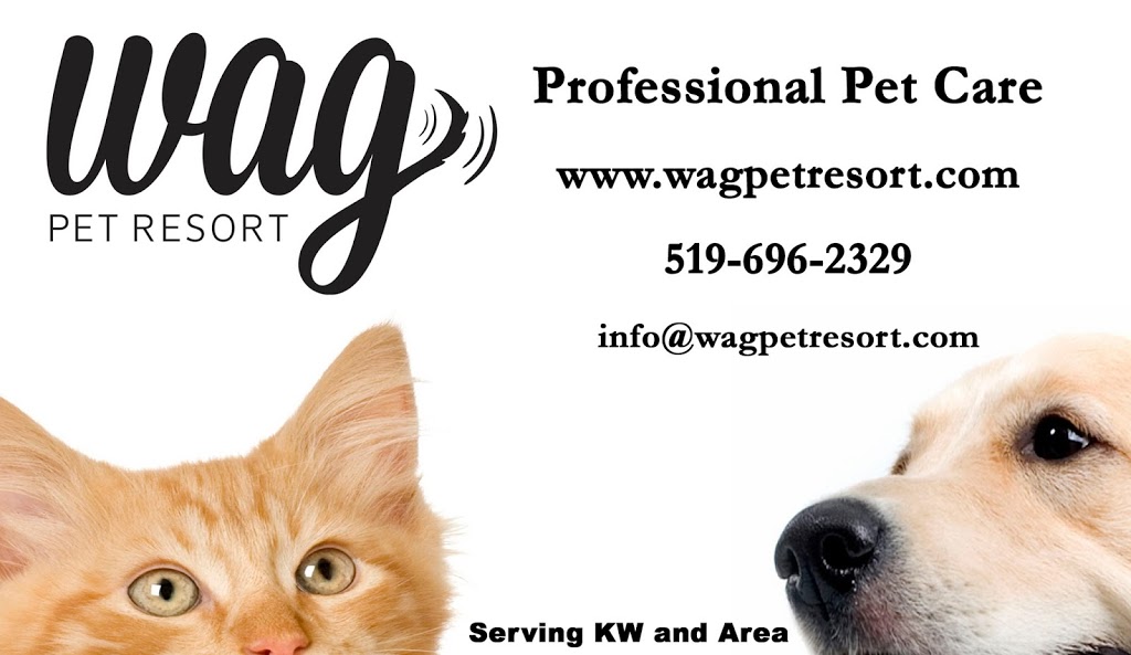 Wag Pet Resort | point of interest | 2056 Witmer Rd, Petersburg, ON N0B 2H0, Canada | 5196962329 OR +1 519-696-2329