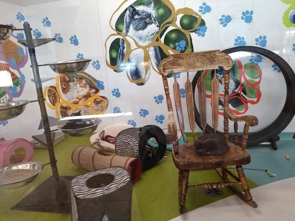 Winnipeg Humane Society | 45 Hurst Way, Winnipeg, MB R3T 0R3, Canada | Phone: (204) 982-2021