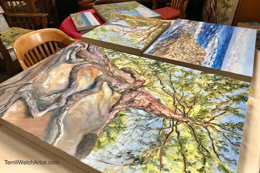 Terrill Welch Fine Arts | 428 Luff Rd, Mayne Island, BC V0N 2J2, Canada | Phone: (250) 744-4560