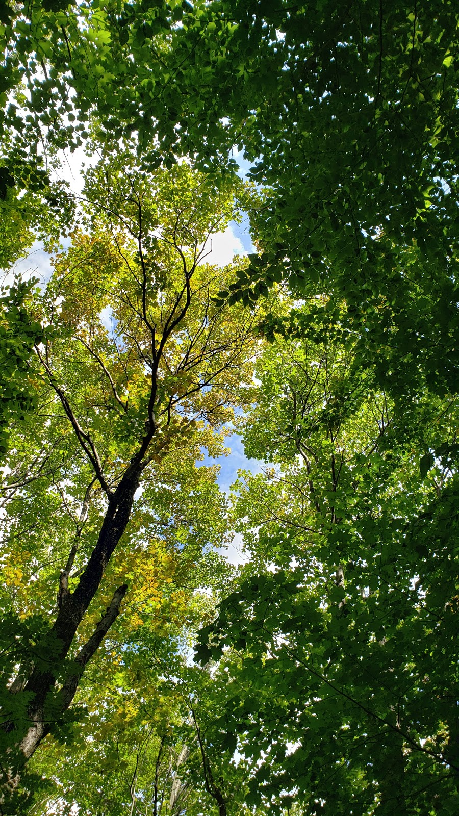 Parc de la rivière | LAncienne-Lorette, QC G2E, Canada | Phone: (418) 872-9811