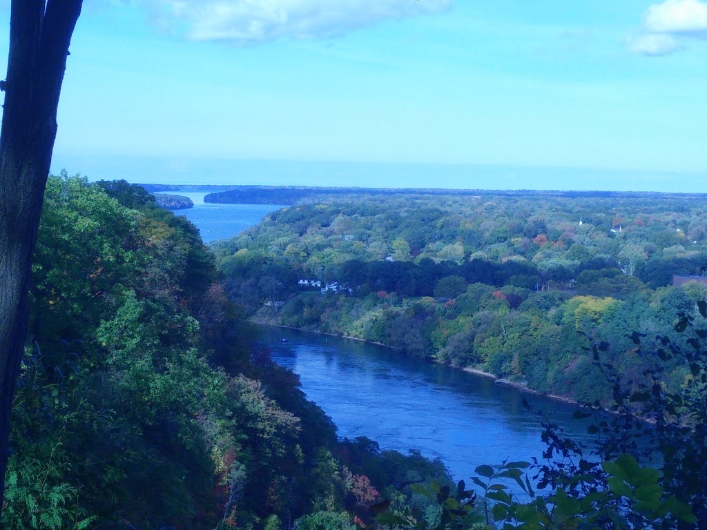 Locust Grove Picnic Area | 14888 Niagara Pkwy, Queenston, ON L0S 1L0, Canada
