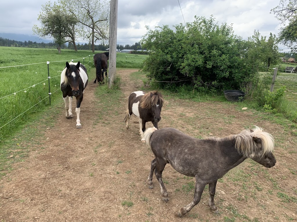 Little Blackbird Farm | 1885 Wilmot Rd, Cowichan Bay, BC V0R 1N1, Canada | Phone: (250) 888-5816