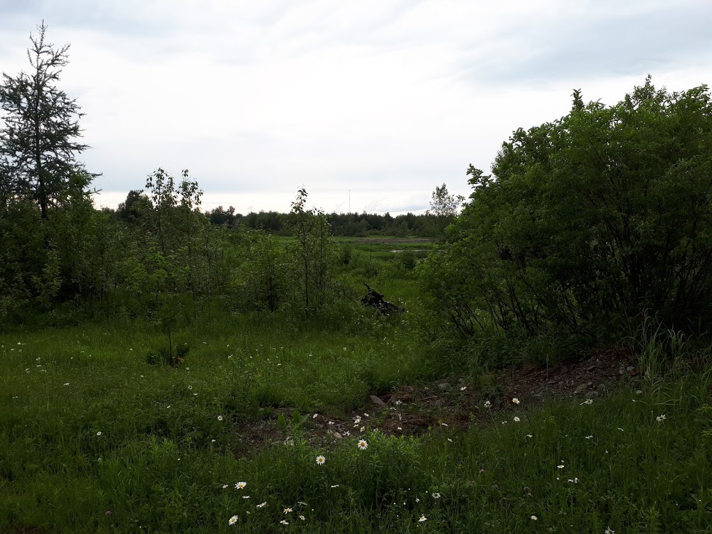 Parc Brochu-Châtigny | 102 Rue du Soudeur, Saint-Isidore, QC G0S 2S0, Canada